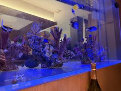 -水之惠鲜鱼料理(王府大街店)