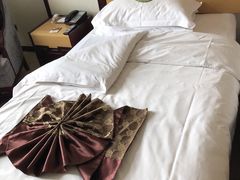 -水邑嘉年华大酒店(鄄城店)