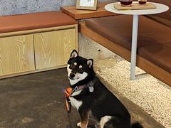 -MQ COFFEE STAND明谦(新洲店)