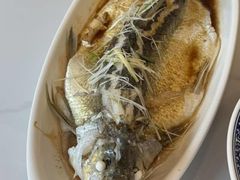 -醉美东江·三文鱼·烧鸡公