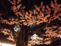 -蓝鲸湾汤泉(包河店)