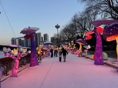 -沈阳奥体冰雪嘉年华
