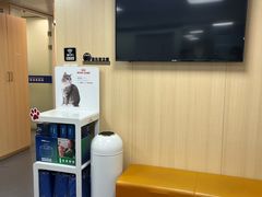 -申普宠物医院·心脏介入·心血管微创(总院)
