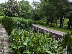-洛阳市隋唐城遗址植物园