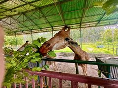 -秦皇岛野生动物园
