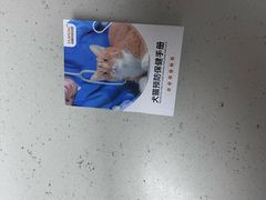 -宠颐生宠物医院外科·内科·皮肤科·影像科(石龙店)
