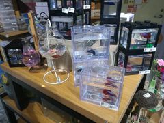 -山东嘉汇文化用品有限公司张店凤凰国际分公司(新村西路店)