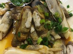 -金海湾海鲜排档(朱家尖店)