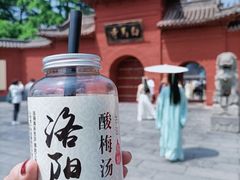 -洛阳白马寺