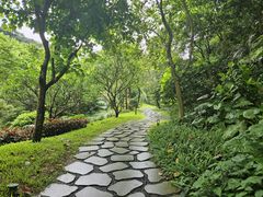 -云溪植物园