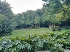 -上海市保健医疗中心(华东疗养院)