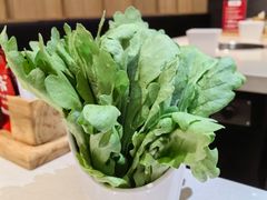 -浩爷羊蝎子火锅(望京店)