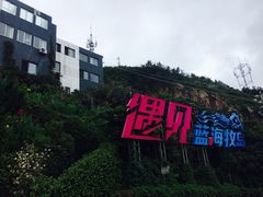 -枸杞岛