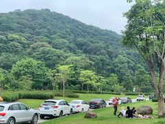 -天鹿湖森林公园