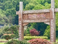 -龙寺生态园