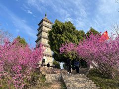 -天台山赤城山景区