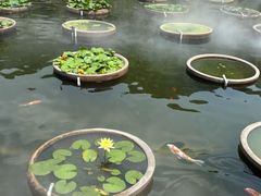 -石峰岩寺
