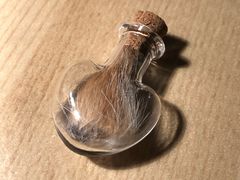 -翡翠森林宠物火化殡葬(通州店)