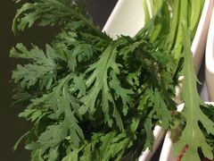 -海底捞火锅(金光华店)