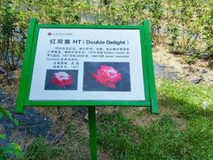 -亚龙湾国际玫瑰谷