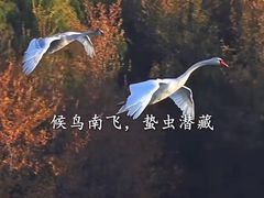 -裕和堂中医推拿艾灸(太古汇臻品店)