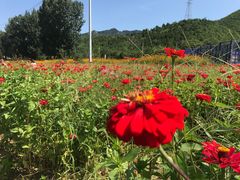 -百里山水画廊乌龙峡谷