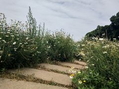 -保利石象湖景区