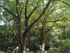 -上海交通大学医学院附属瑞金医院(总院)