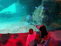 -华夏文旅海洋公园