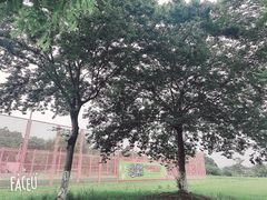 -宜兴龙背山森林公园