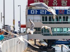 -海云台海滩