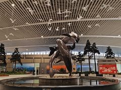 -青岛胶东国际机场