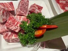 -洋房火锅(上海新天地南北里店)