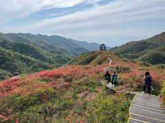 -大围山国家森林公园