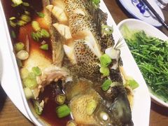 清蒸鲈鱼-沈记菜馆(酒仙桥路店)