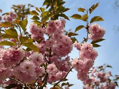 -长白岛森林公园