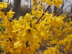 -大兴滨河森林公园