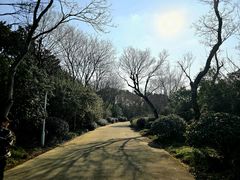 -长广溪湿地公园