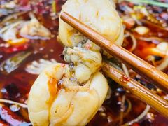 -鸿顺老铁锅美蛙鱼府(解放碑店)