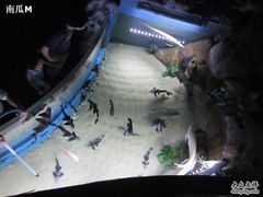 -苏州海洋馆