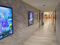 -乐天免税店(明洞店)