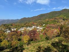 -塔川景区