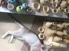 -粤陶渊.DIY陶艺体验馆(粤陶总店)