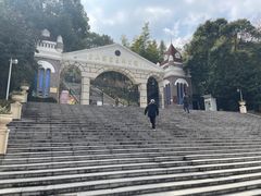 -上海佘山国家森林公园西佘山园