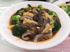 鲍汁花胶扒海参-新灿记大酒楼