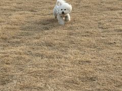 -comecome来吧宠物(奥克斯中心店)