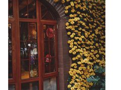 -月亮眼花园餐厅书吧酒吧