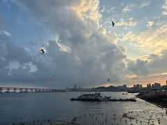 -星海广场