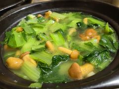 小白菜华子菇-砂锅店