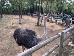 -大连森林动物园